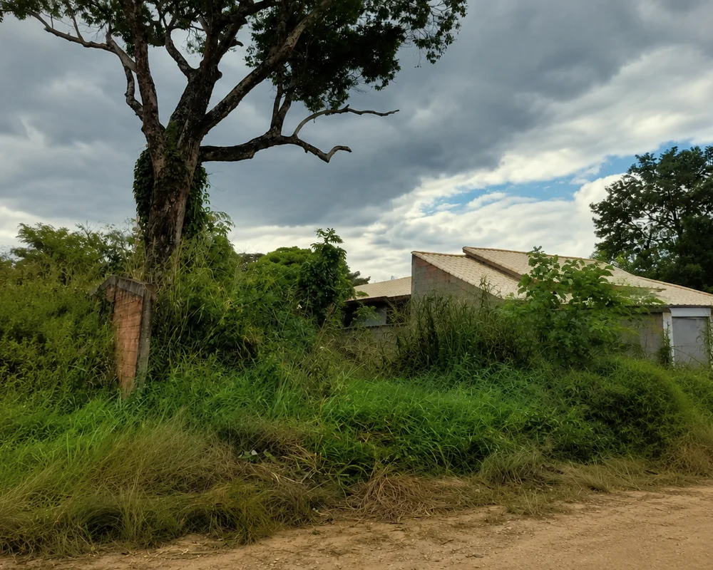 Limpeza de terreno em Peruíbe antes do serviço: mato alto e vegetação densa acumulada no lote